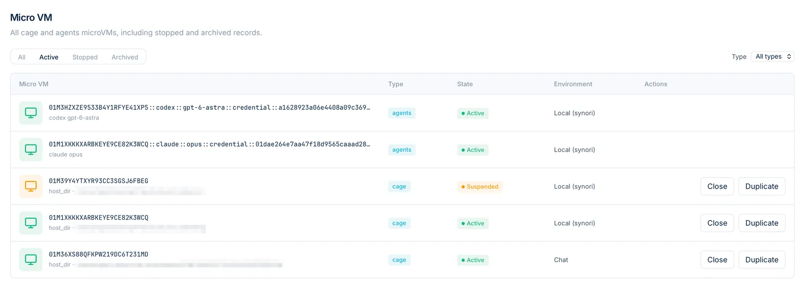 The Micro VM screen: the agent VMs of two coding CLIs and three session VMs, with their type, state and environment