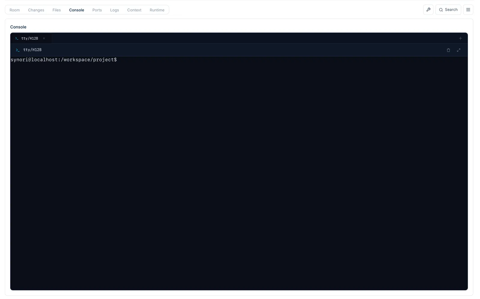 The Console tab: a terminal in the session VM, open at /workspace/project